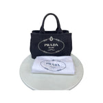 Load image into Gallery viewer, Prada Enameled Metal Triangle Canapa Small
