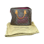 Load image into Gallery viewer, lv speedy特殊款
